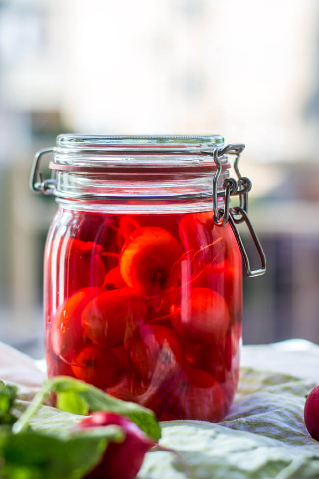 fermentierte radieschen fermentieren