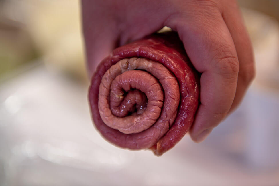 Rinderroulade schritt für schritt Rindsroulade Roulade füllen rollen schrittweise Gewürzgurken Speck Senf