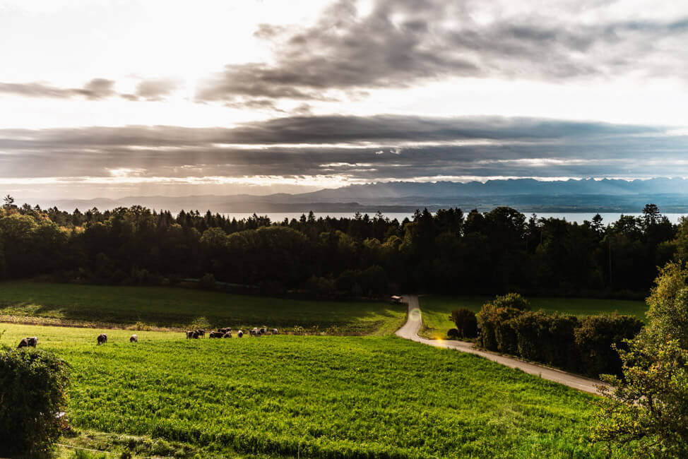 Neuchântel Neuenburg Montezillon Sonnenaufgang Früh Schweiz