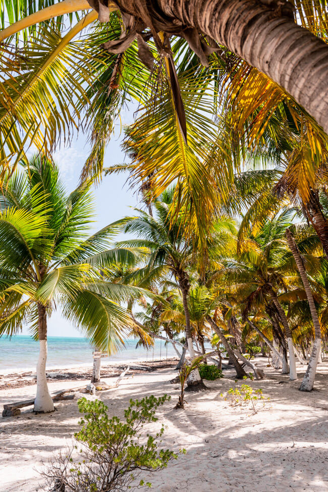 Punta Allen Sian Ka´an Nationalpark Meer Strand Traumstrand Palmen