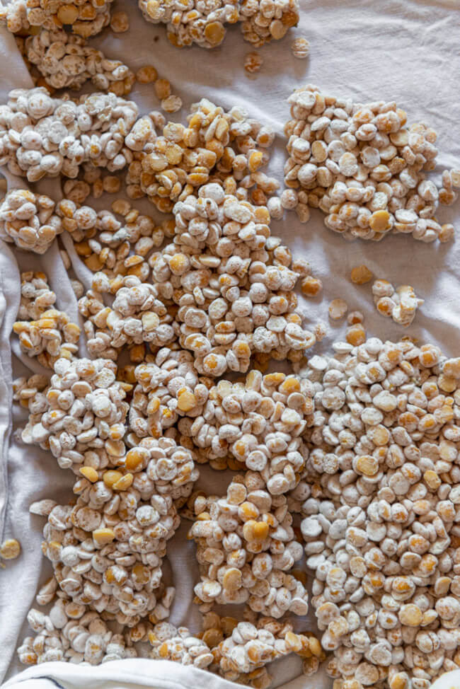 Koji auf gelben Erbsen Fermentation