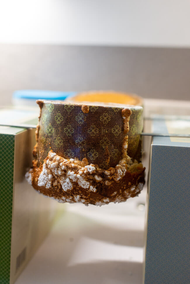 Panettone hängt kopfüber zum Abkühlen.