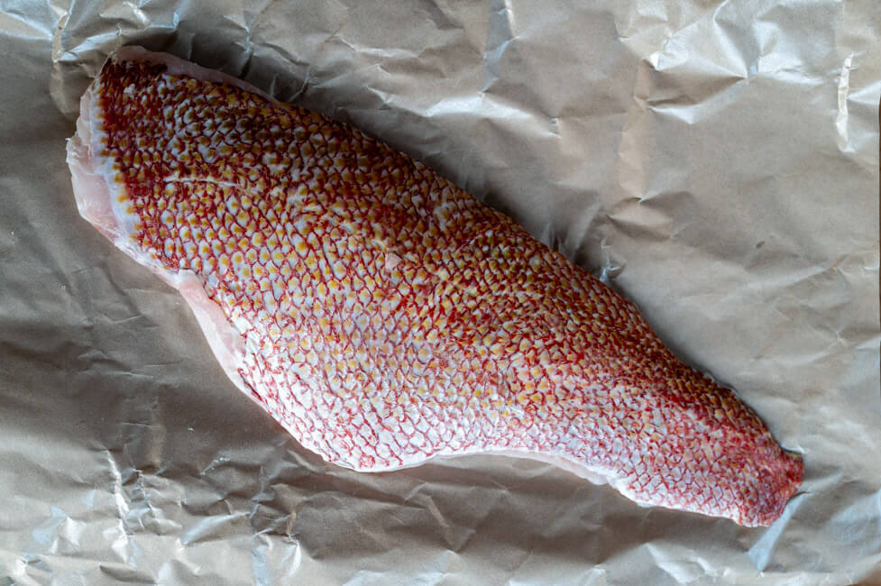 REd Snapper Filet