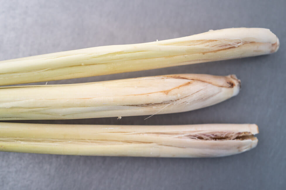 Gekloptes Zitronengras