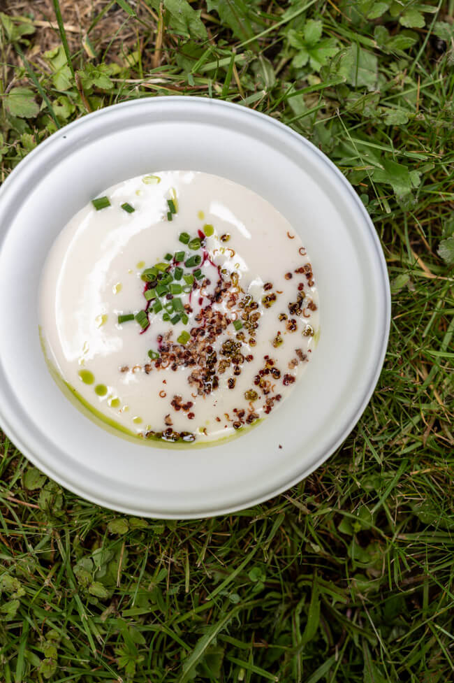 Geflämmter Stör mit Spargel und Holunder