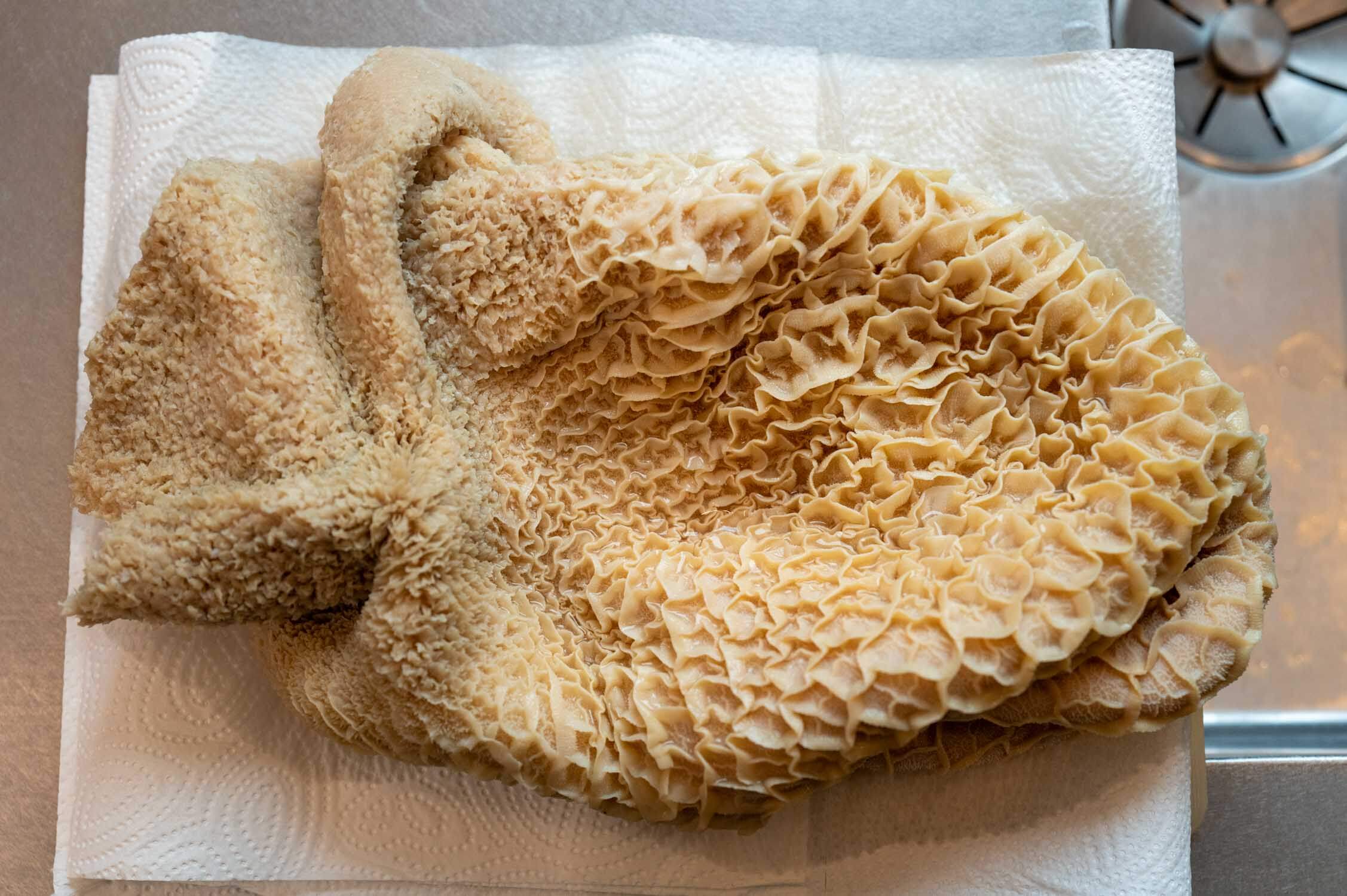 Pansen vom Rind im Ganzen